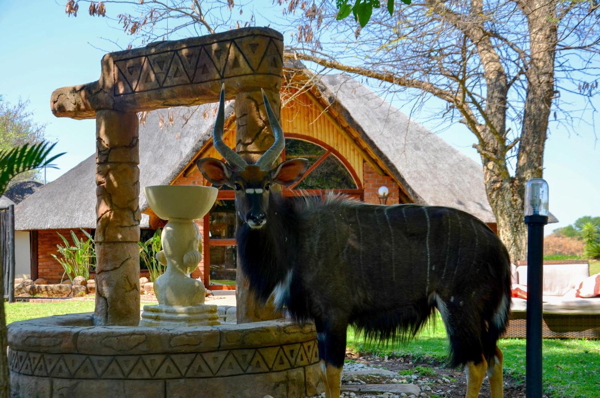 Ditholo Game Lodge Bela Bela Exterior photo